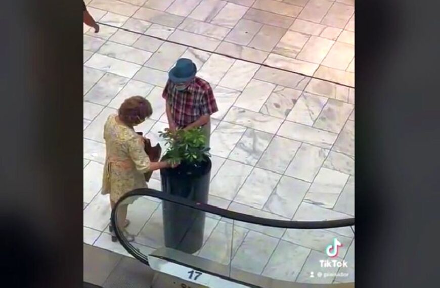 ¡Pintoresco!: Abuela se hace viral por robarse planta de un centro comercial