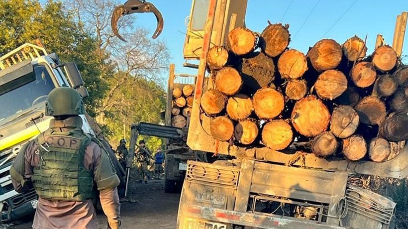 80% de los detenidos por robo de madera a nivel nacional se concentran en el Bío Bío y La Araucanía